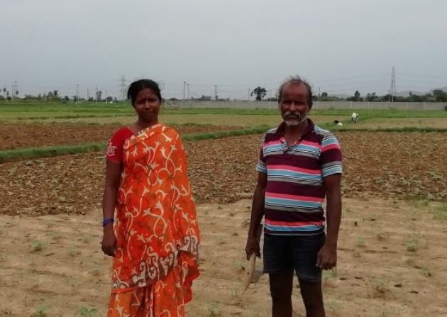 Unable to access various state govt. schemes & benefits, many tenant farmers have committed suicides in Andhra Pradesh, reveals a new report